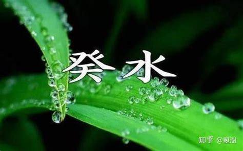 八字 葵水|八字十天干详解——癸水